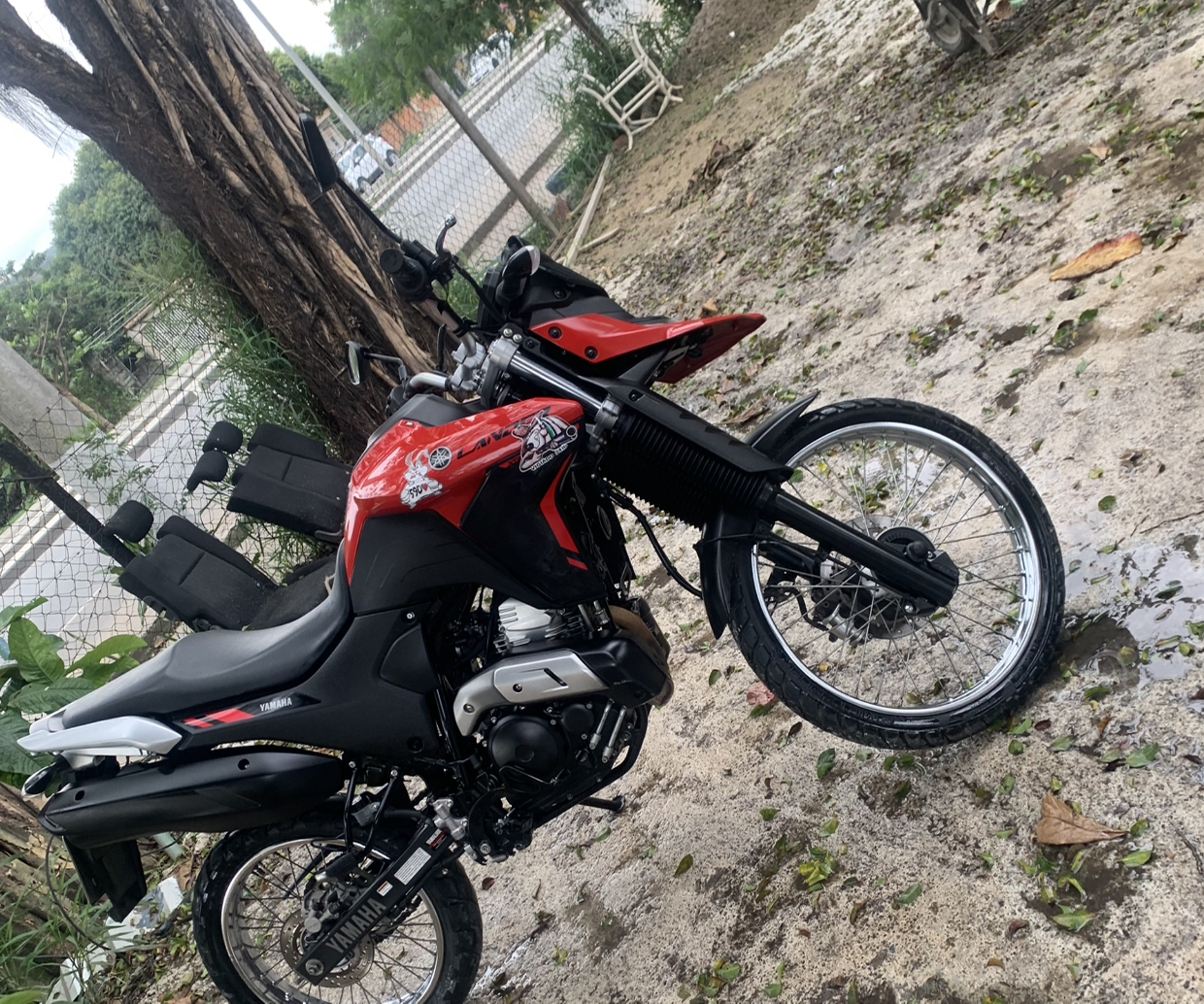 Logo Estética Automotiva De Pai Para Filho